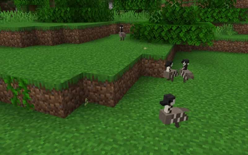 The logo for Hawaii Mobs, a Minecraft datapack for 1.20.1-1.20.4 by OpenVoxel Studios on MCCreations