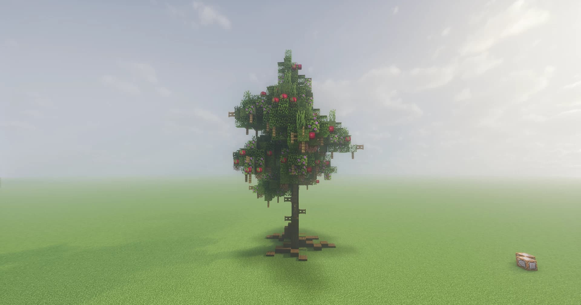 Image 3 of 4 for My First Oak Tree