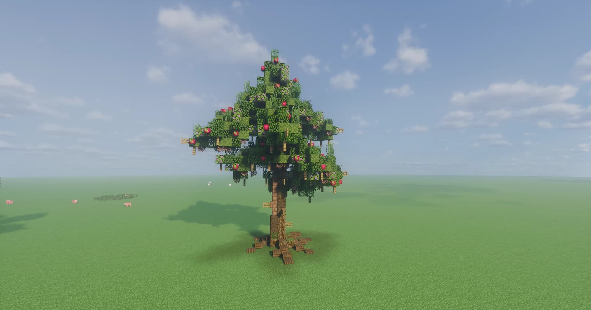 Image 4 of 4 for My First Oak Tree